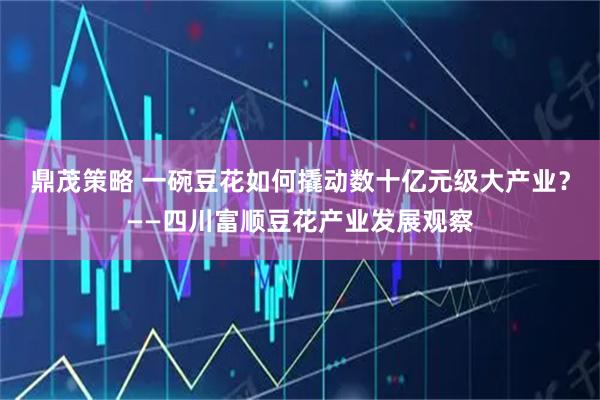鼎茂策略 一碗豆花如何撬动数十亿元级大产业？——四川富顺豆花产业发展观察