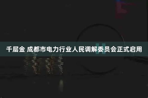 千层金 成都市电力行业人民调解委员会正式启用