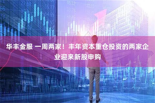 华丰金服 一周两家！丰年资本重仓投资的两家企业迎来新股申购